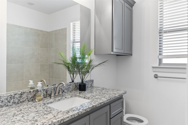 bathroom with a healthy amount of sunlight, vanity, and toilet