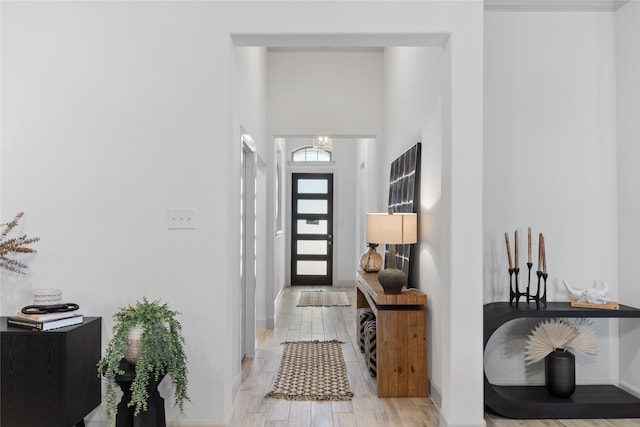 entrance foyer featuring light wood-type flooring