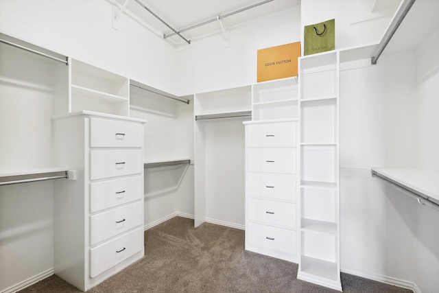 spacious closet with carpet