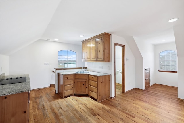 kitchen with plenty of natural light, black electric cooktop, and light hardwood / wood-style flooring