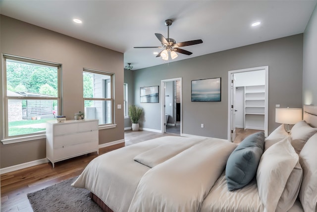 bedroom with a closet, light hardwood / wood-style floors, a spacious closet, and ceiling fan