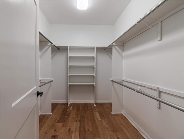 spacious closet featuring dark wood-type flooring