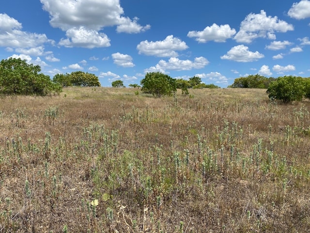 LOT319 Shooting Star Ct, Possum Kingdom Lake TX, 76449 land for sale