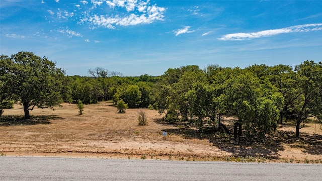 Listing photo 3 for 62 Oak Shadow Ln, Nocona TX 76255