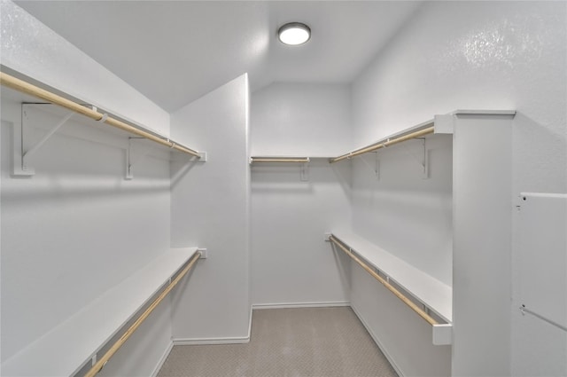 spacious closet with light colored carpet