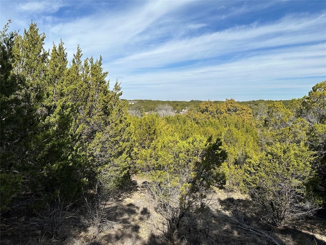 Listing photo 3 for LOT285 Shooting Star Ct, Possum Kingdom Lake TX 76449