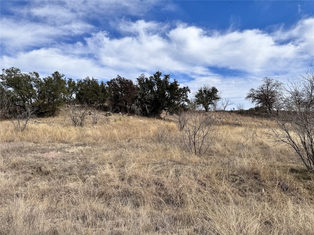 Listing photo 3 for TBDLOT196 Carie Dr, Brownwood TX 76801