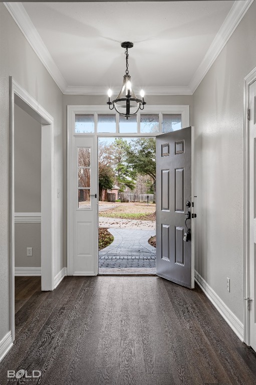 entryway with a notable chandelier, ornamental molding, and dark hardwood / wood-style floors