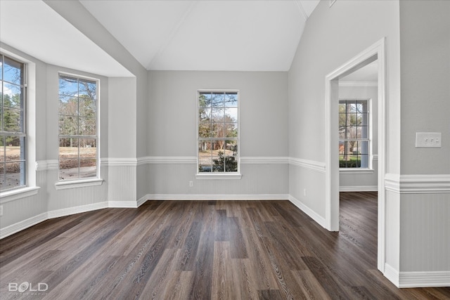 empty room featuring plenty of natural light, vaulted ceiling, and dark wood-type flooring