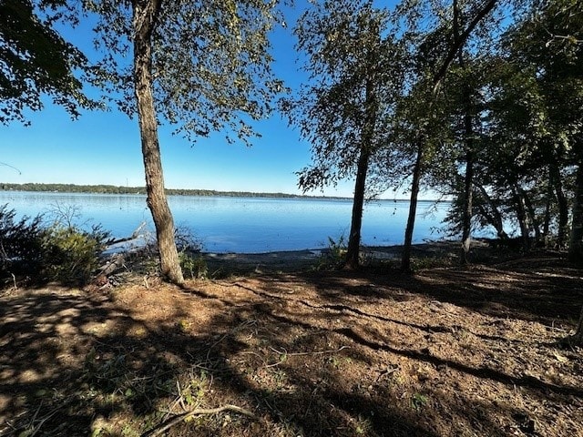 LEGACYSHORESLOT213142 Shadow Pine Dr, Larue TX, 75770 land for sale