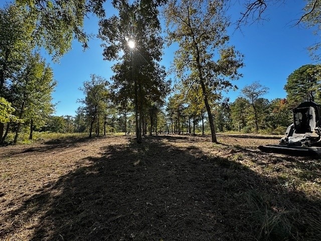 Listing photo 3 for LEGACYSHORESLOT213142 Shadow Pine Dr, Larue TX 75770