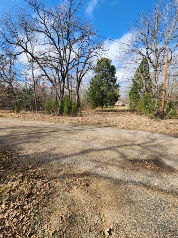 Listing photo 2 for 9999 Doc Holiday Trl, Log Cabin TX 75148