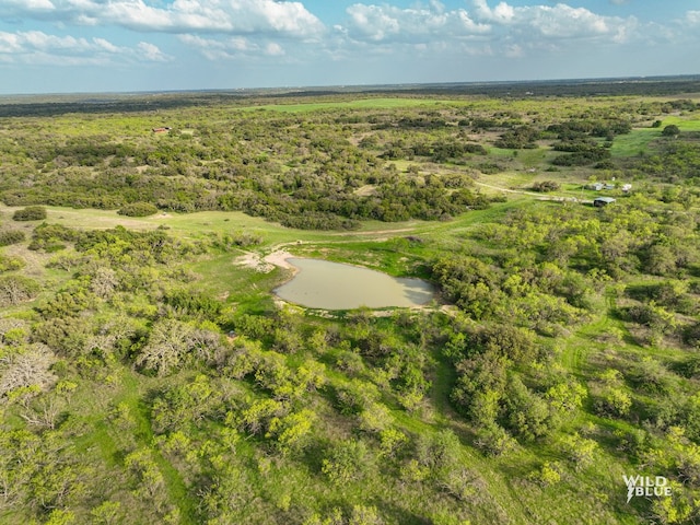 1501 County Road 109, Cisco TX, 76437 land for sale