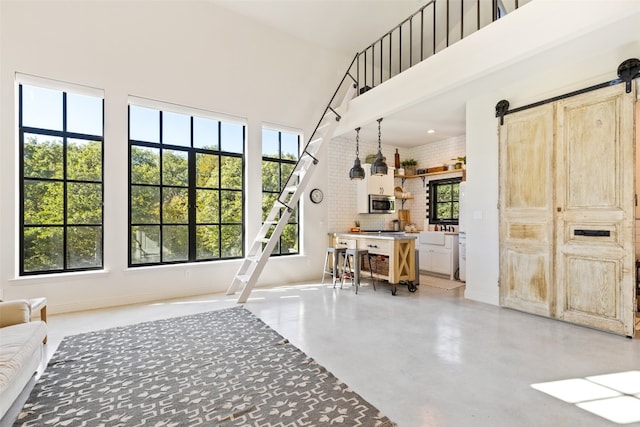 interior space featuring a healthy amount of sunlight and a towering ceiling