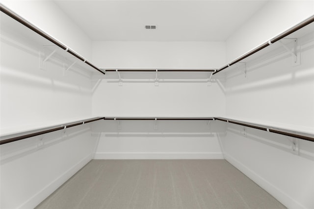 spacious closet featuring carpet flooring