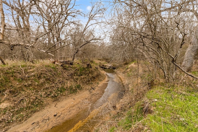 view of nature featuring a water view