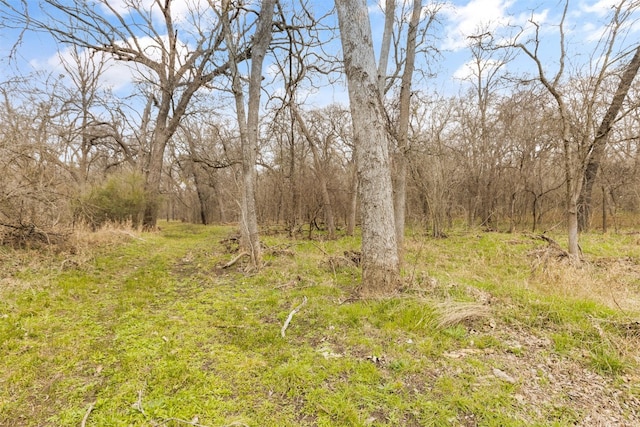 view of local wilderness