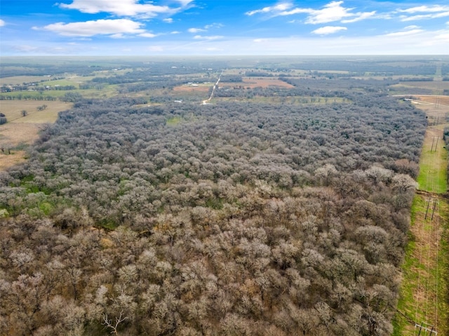 view of bird's eye view