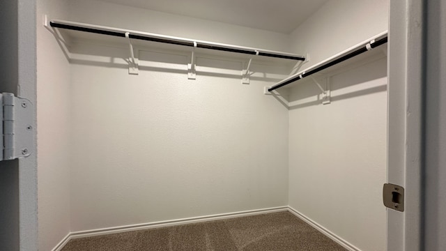 walk in closet with carpet