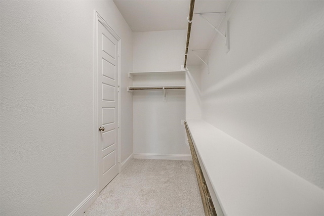 walk in closet with light carpet