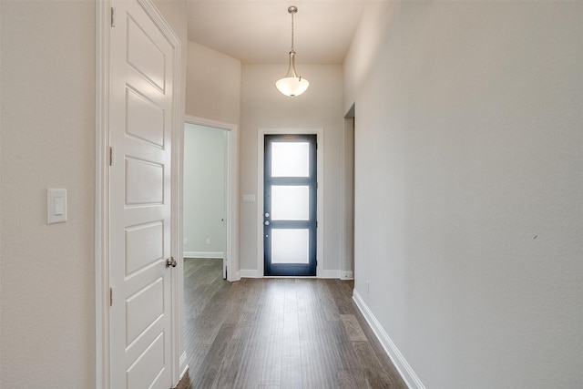 foyer entrance featuring dark hardwood / wood-style flooring