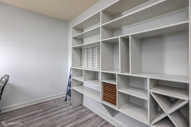 walk in closet featuring hardwood / wood-style flooring