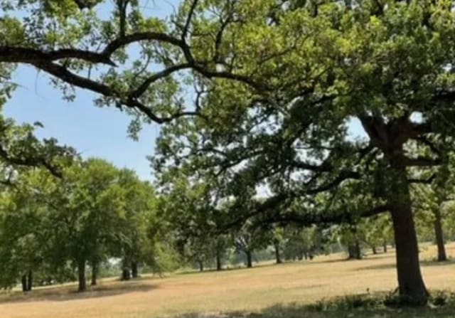 7724 Black Elk Ct, Burleson, TX 76028