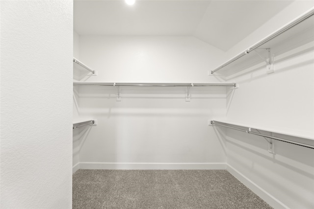 spacious closet featuring carpet and vaulted ceiling