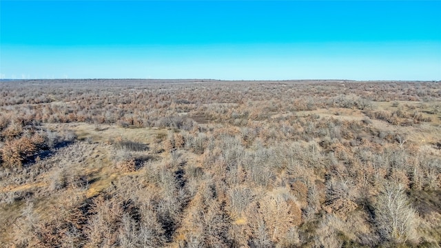 Listing photo 3 for 00 Berry Dairy Rd, Jacksboro TX 76458