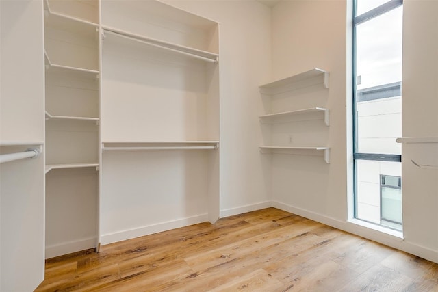 spacious closet with light hardwood / wood-style floors