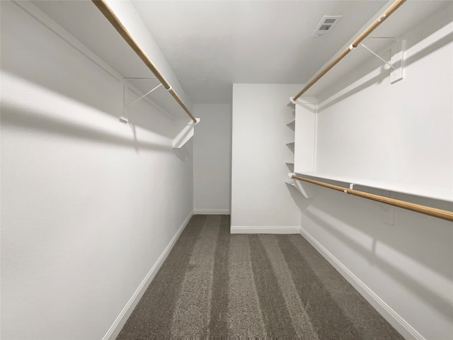 spacious closet with carpet