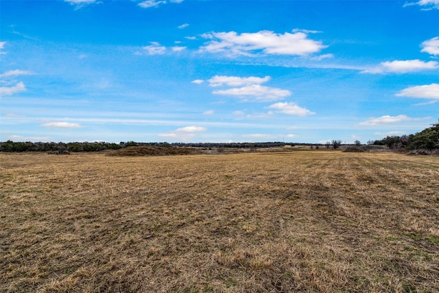 Listing photo 3 for 17037 US Highway 281, Hico TX 76457