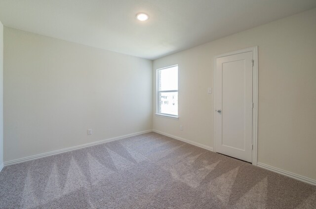 spare room with carpet