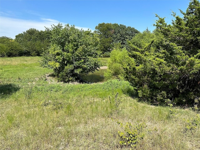 Listing photo 3 for LOT8 E Ball St, Tom Bean TX 75489