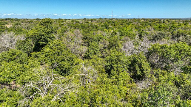 3903 N Fm 51, Weatherford, TX 76085