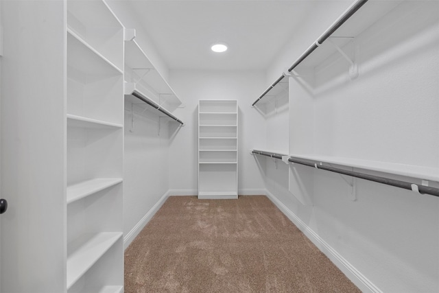 spacious closet featuring carpet