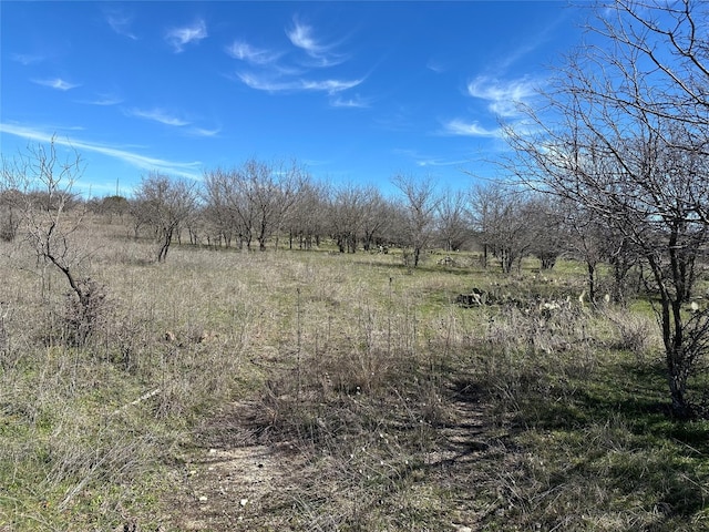 Listing photo 3 for TBD Greenwood, Comanche TX 76442