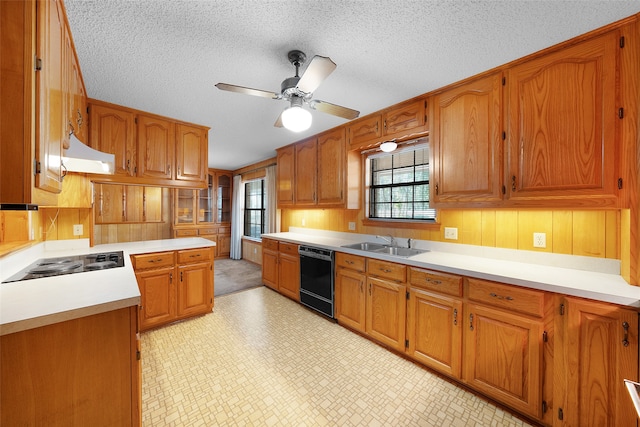 kitchen featuring wooden walls, sink, stovetop, black dishwasher, and a textured ceiling