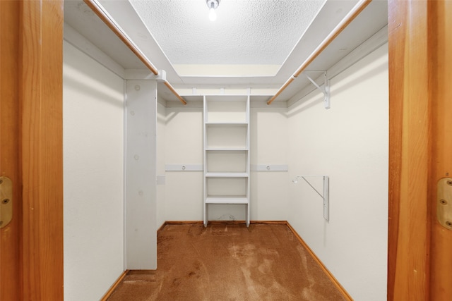 walk in closet with carpet floors