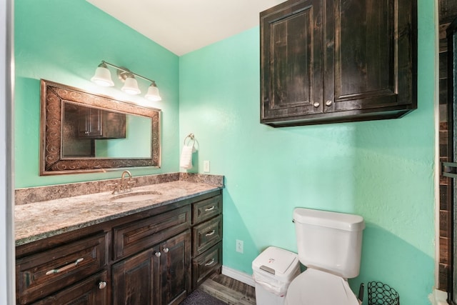 bathroom with toilet and vanity