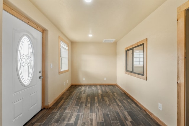 foyer entrance featuring dark hardwood / wood-style flooring and a wealth of natural light