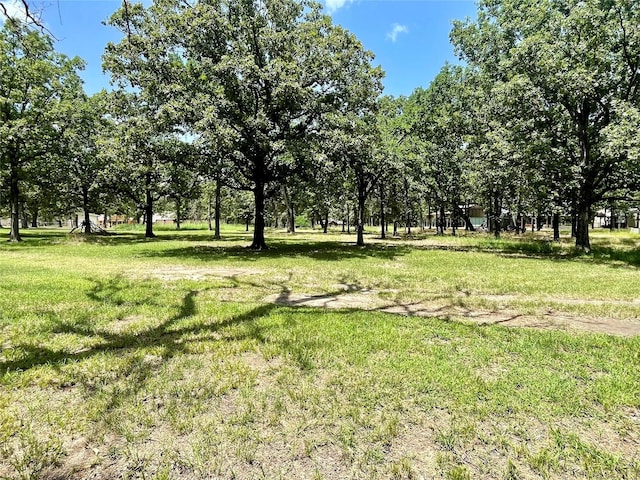 Listing photo 3 for TBD County Road 1996, Yantis TX 75497