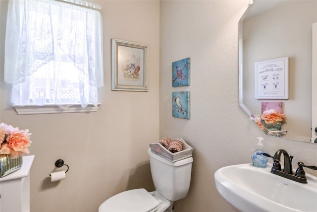 bathroom featuring toilet and sink