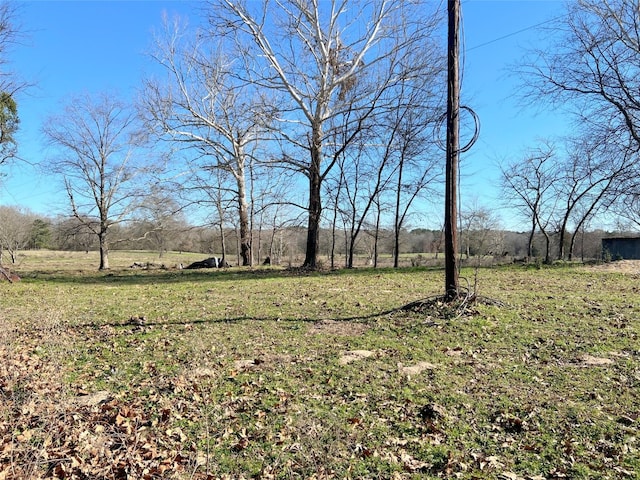 Listing photo 3 for TBD County Rd 3426, Leesburg TX 75451