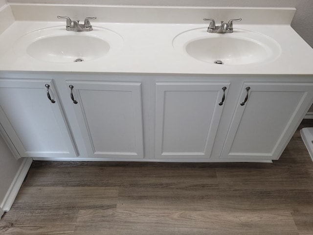 bathroom featuring wood-type flooring and double vanity