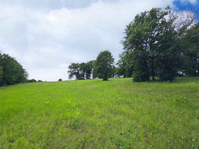 LOT50 Paradise Cv, Streetman, TX 75859