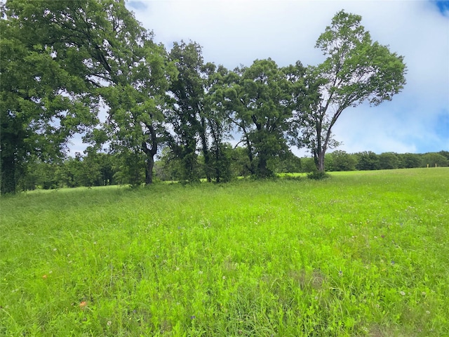 LOT50 Paradise Cv, Streetman, TX 75859