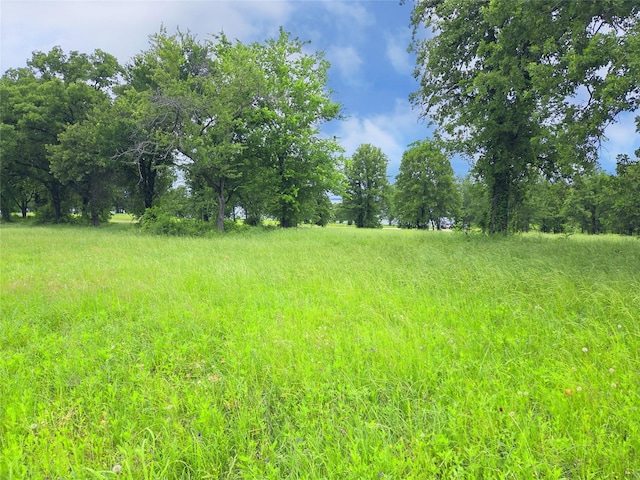 LOT50 Paradise Cv, Streetman, TX 75859