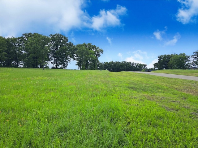 LOT50 Paradise Cv, Streetman, TX 75859