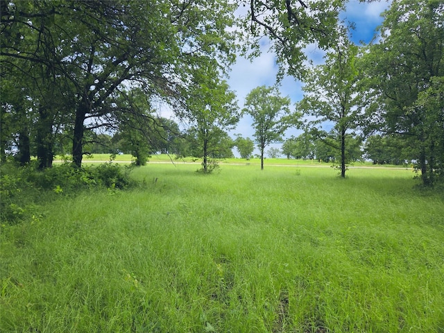 LOT50 Paradise Cv, Streetman, TX 75859
